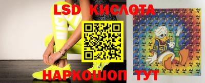 индика Донской