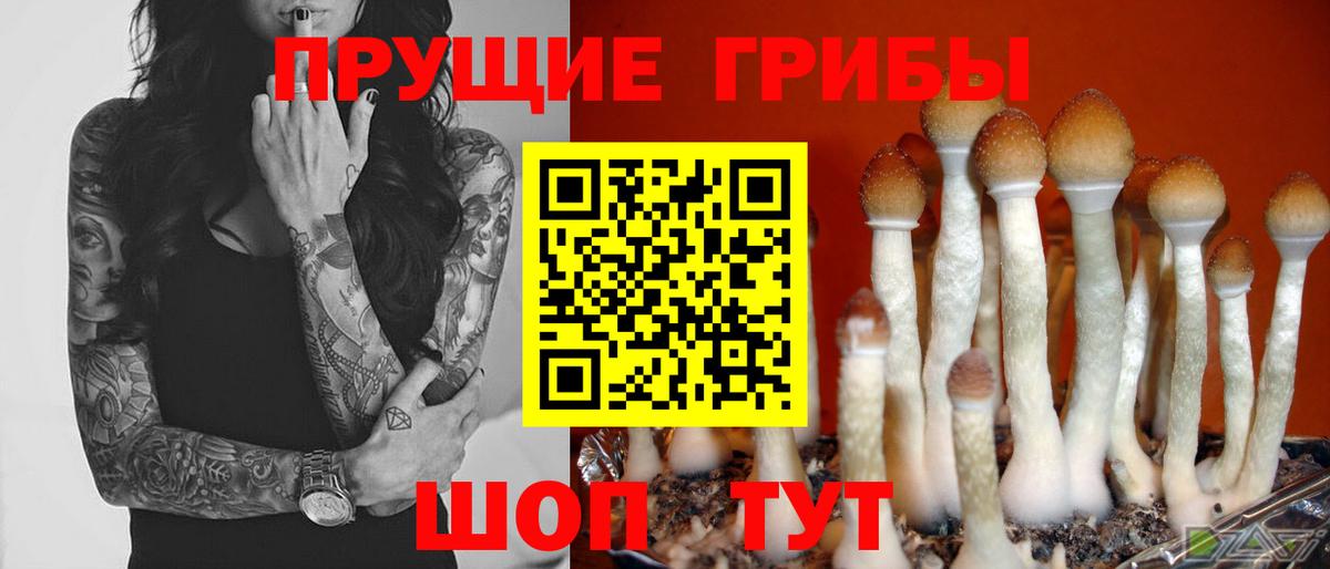 Псилоцибиновые грибы ЛСД  Вход с VPN  Лыткарино 